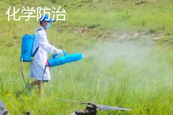 生物防治和化学防治的区别是什么，概念、优点和缺点均不同