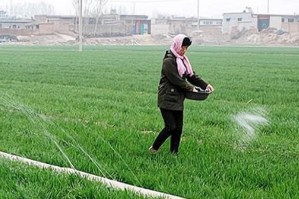 微生物肥料和化肥的关系，是一种互补、相辅相成的关系