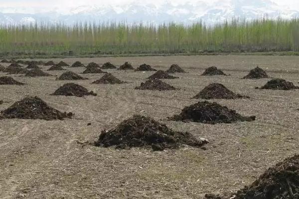 稻田施用有机肥的优点，能起到改善土壤、提供充足养分、促进微生物繁衍等作用