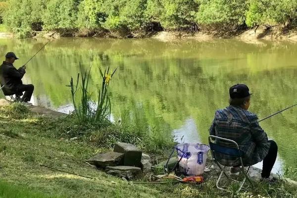 海夕鱼钩能钓鲤鱼吗，是钓鲫鱼等小个体鱼的常用钩型