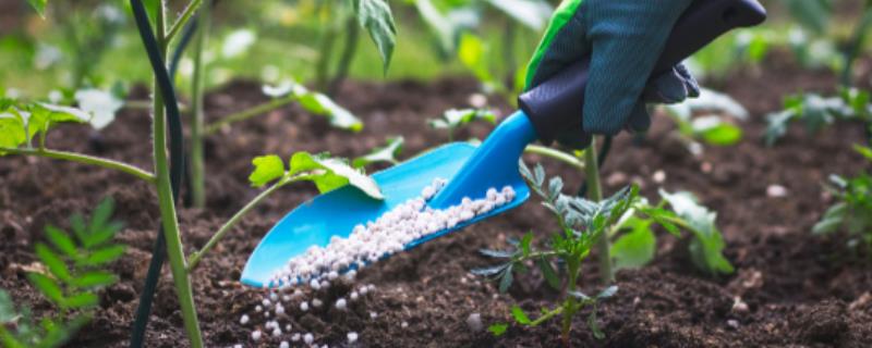 复合微生物冲施肥施用的作用，可活化土壤增加肥力等