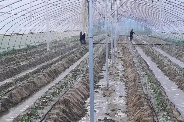 复合微生物冲施肥施用的作用，可活化土壤增加肥力等