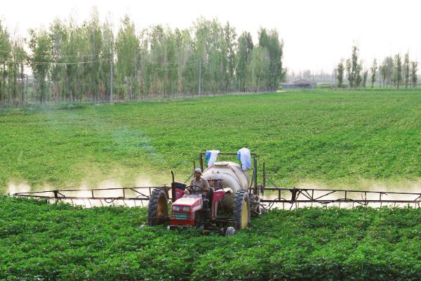 磷酸二氢钾如何在农业中生产应用，可浸种、拌种、做底肥等