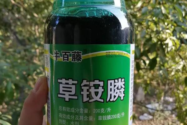 蜂螨如何产生，可交配繁殖或寄生在蜜蜂身上