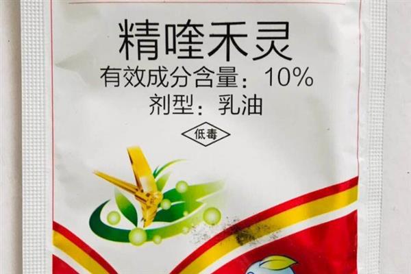 精喹禾灵对下茬作物的影响，对下茬作物基本没有影响