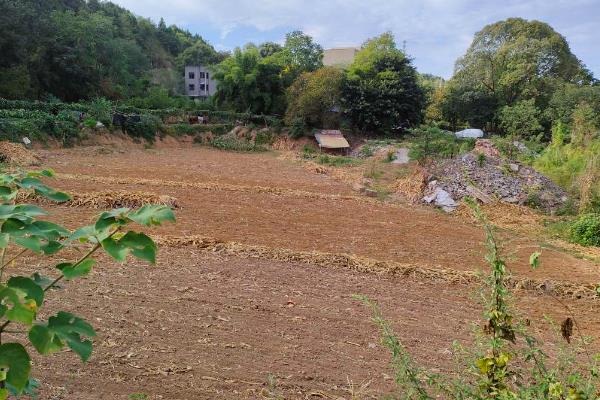 花生种子哪个品种好，有鲁花9号、鲁花10号等