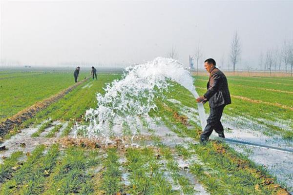 小麦后期喷什么微肥能增产增重，可以喷锌肥、硼肥、铁肥等